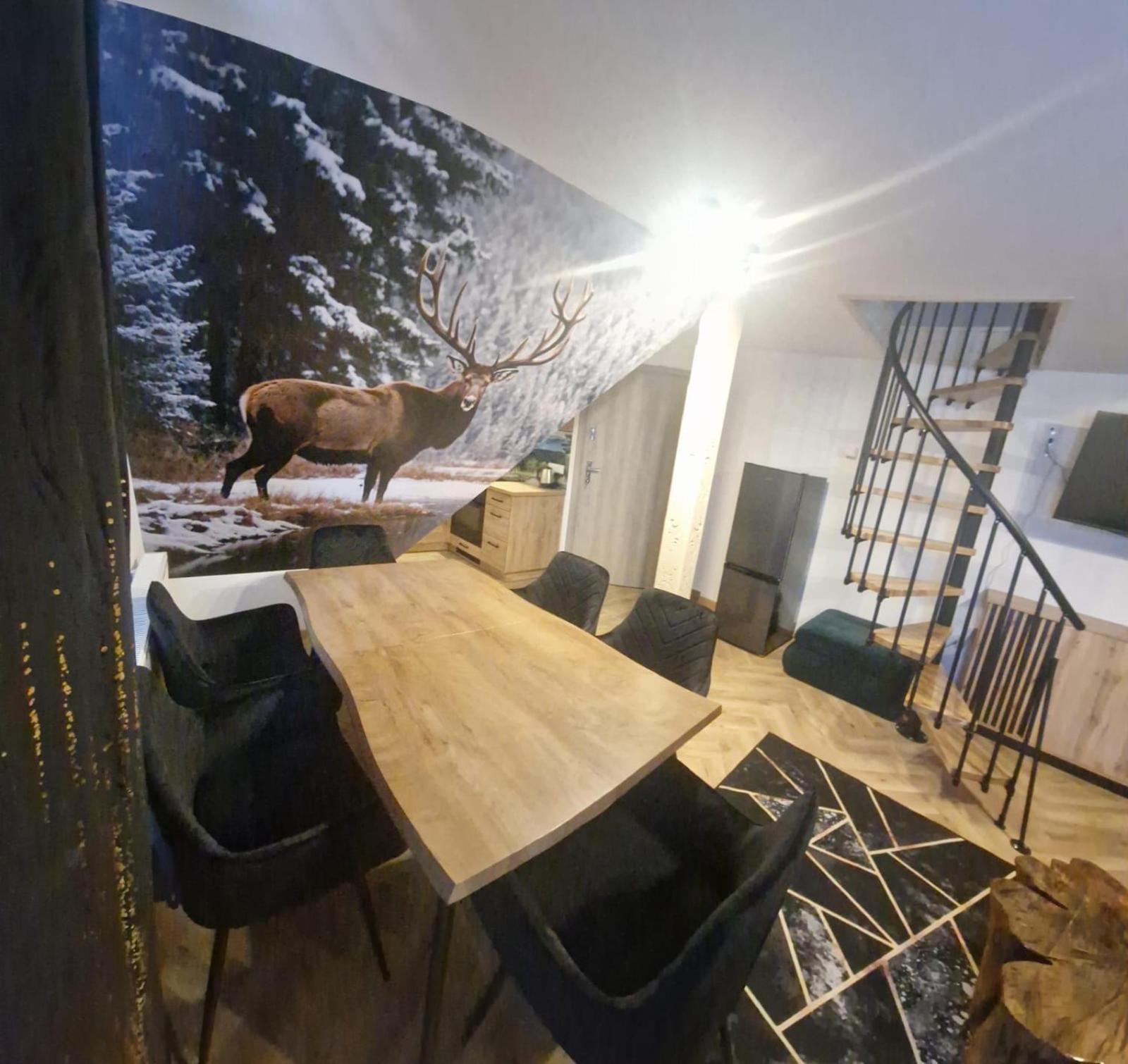 Pokoje i apartamenty Wierchy Zakopane Exteriér fotografie